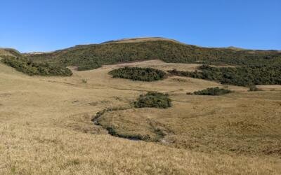 Campos de Altitude seguem ameaçados e no centro de disputa judicial