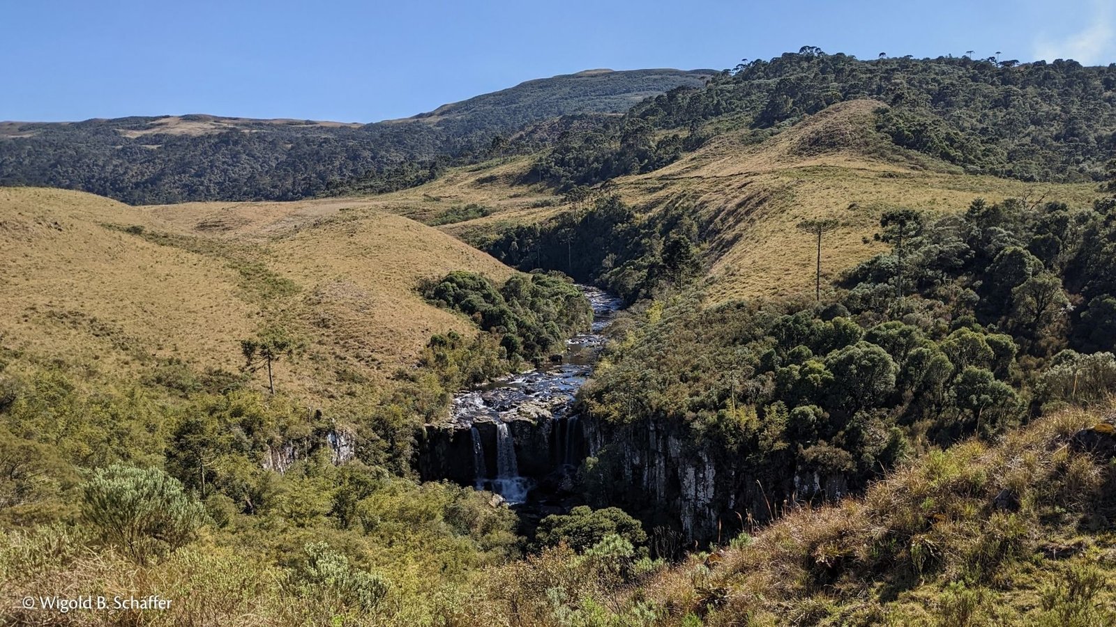 floresta_e_campos_de_altitude_wigold