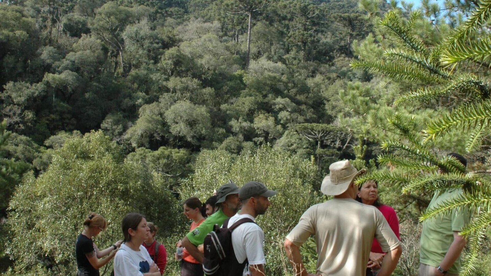 Ações do projeto PDA da Mata Atlântica no Parque Nacional das Araucárias