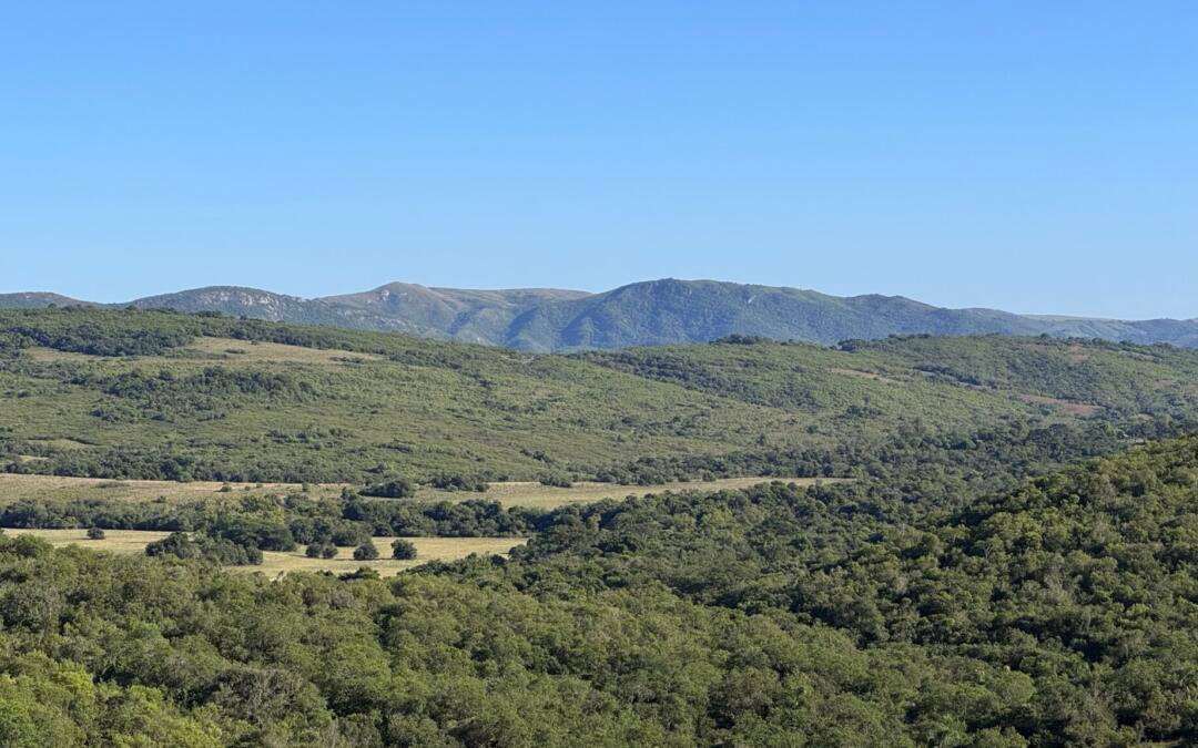 Expedição Pampa identifica ações para a conservação e valorização do bioma