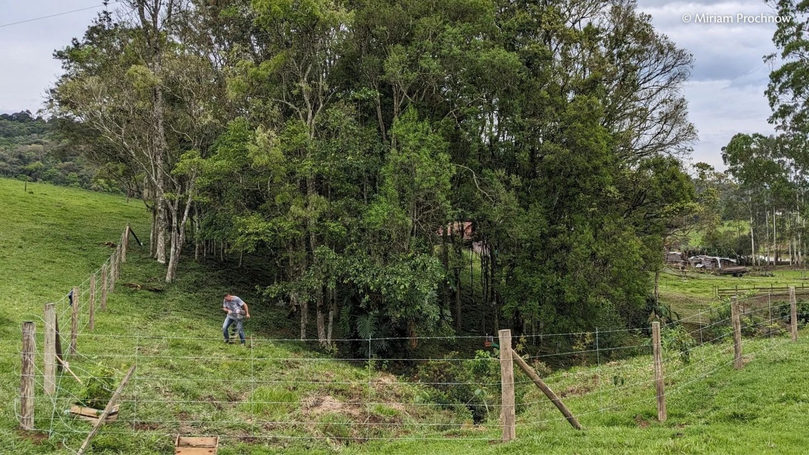 Mutirão de plantio e visitas às propriedades atendidas pelo Conservador das Araucárias em Atalanta