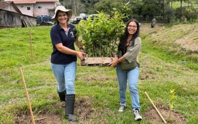 Conservador das Araucárias alcança mais de 3.500 hectares em restauração