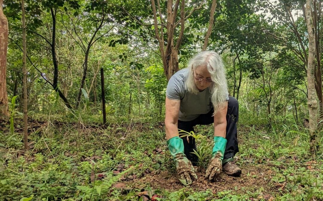 SER2025: conferência reuniu atores mundiais em prol da restauração ecológica