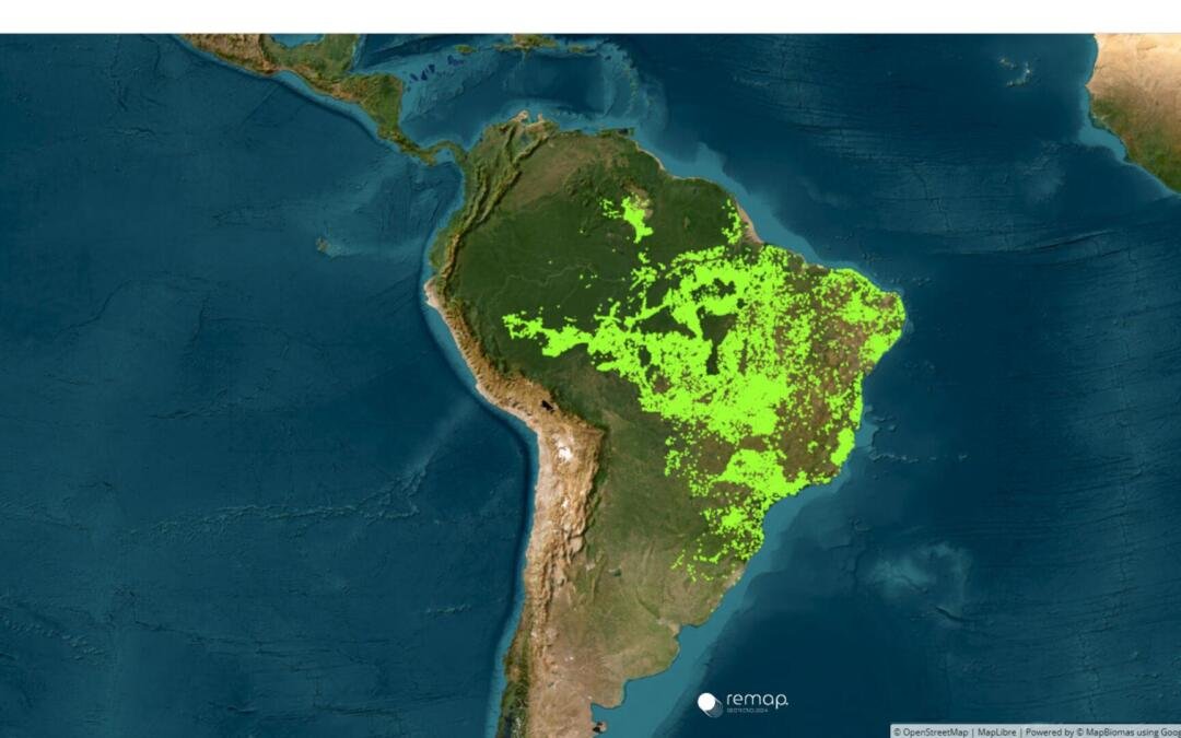 MapBiomas lança monitor de áreas em recuperação da vegetação nativa
