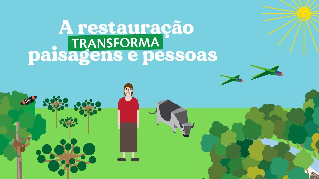 Vídeo a restauração transforma pessoas e paisagens