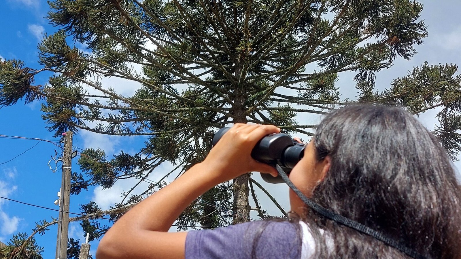 Atividade de observação de aves realizada pelo Geração +Floresta em parceria com o ICMBio Foto Marluci Pozzan (2) Atividade de observação de aves realizada pelo Geração +Floresta em parceria com o ICMBio