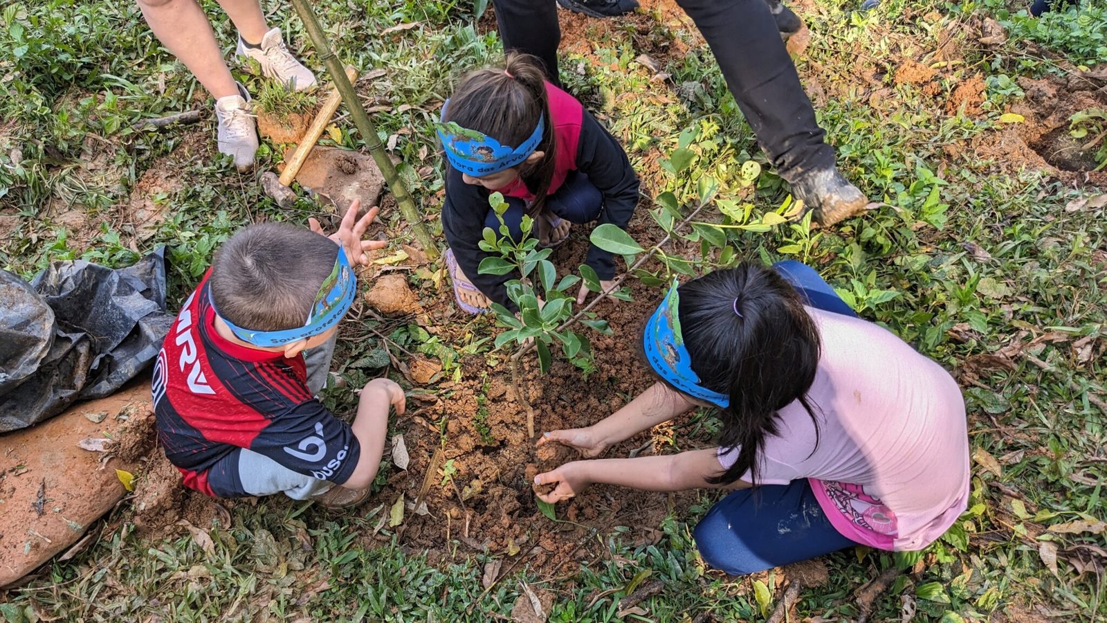 Plantio Bosque de Heidelberg Foto Arquivo Apremavi Plantio do Bosque de Heidelberg