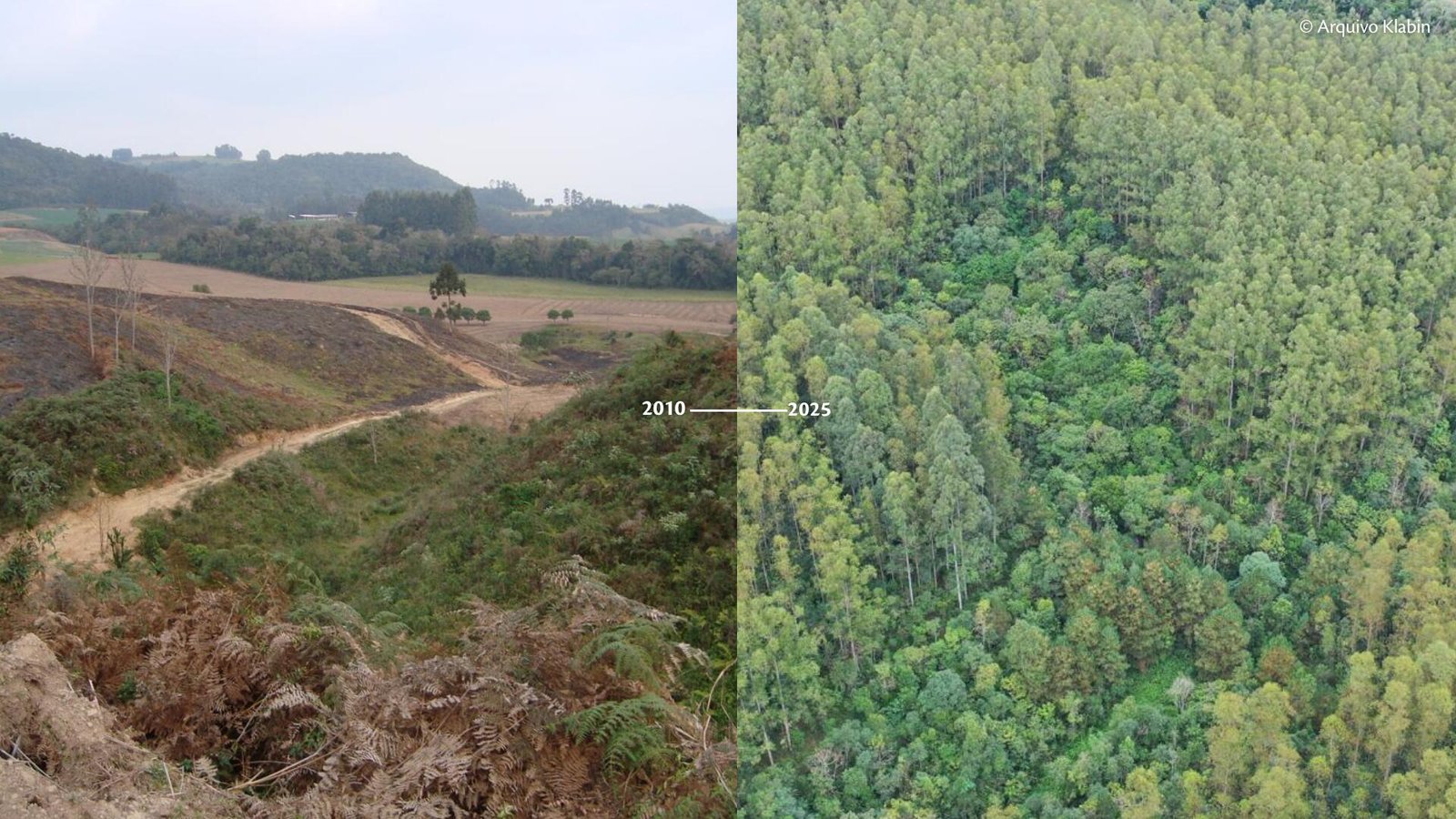 Área restaurada pelo Matas Legais no Alto Vale do Itajaí (SC) Foto Arquivo Klabin Área restaurada pelo Matas Legais no Alto Vale do Itajaí (SC)