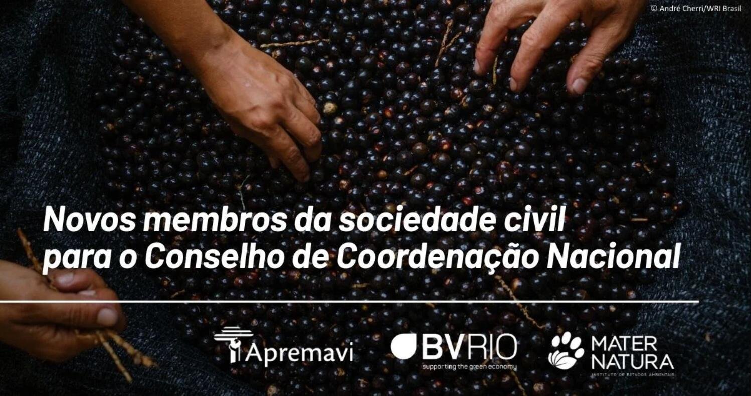 Lista de organizações eleitas para o Conselho de Coordenação Nacional do Diálogo Florestal 