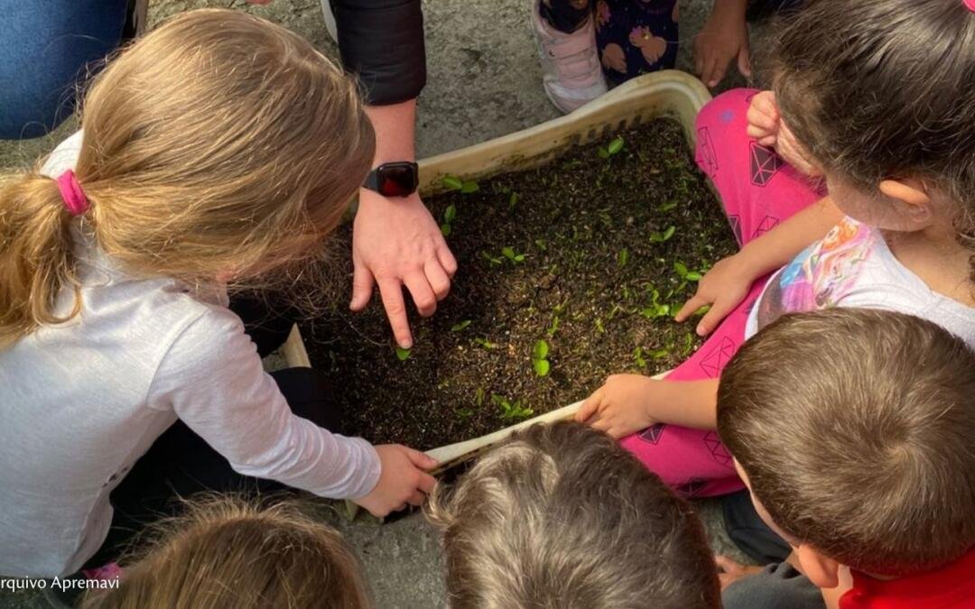 Programa de Visitas Guiadas da Apremavi fortalece aprendizados e diálogos em 2025