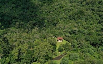 As RPPNs e o compromisso voluntário com a biodiversidade