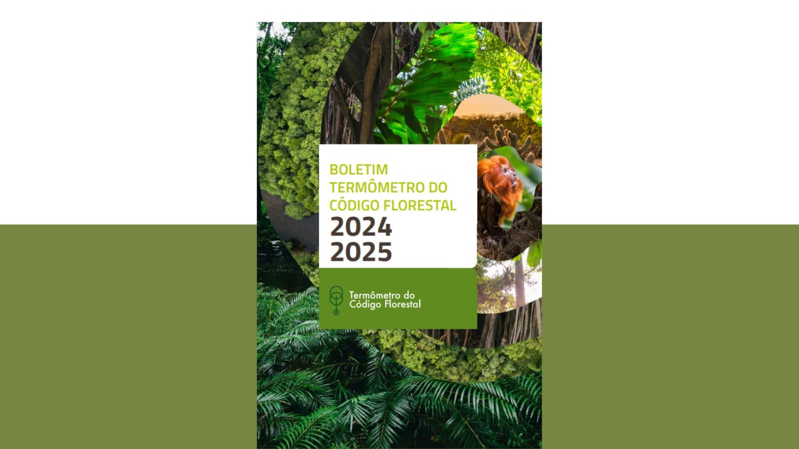 Boletim do Termômetro do Código Florestal