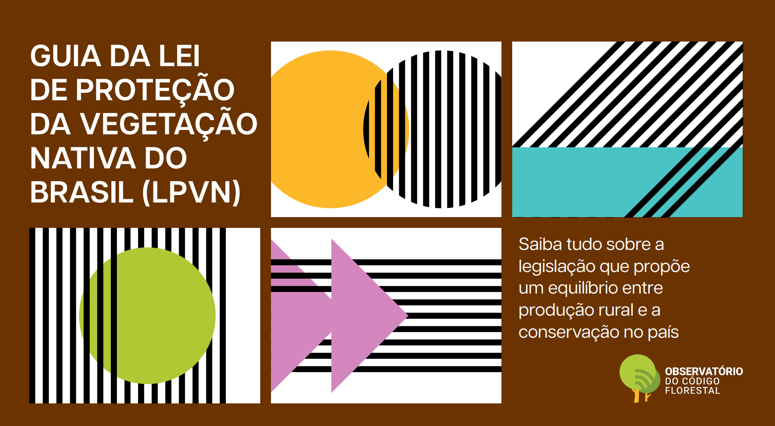 Guia da Proteção da Vegetação Nativa