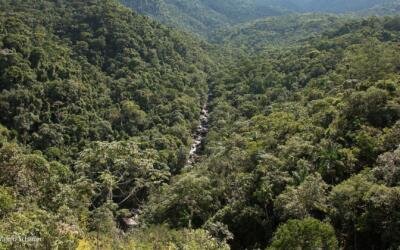 Entre a lei e a prática: onde estamos com o Código Florestal
