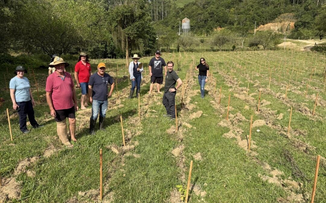 Conservador das Araucárias ganha 32° Prêmio Expressão de Ecologia