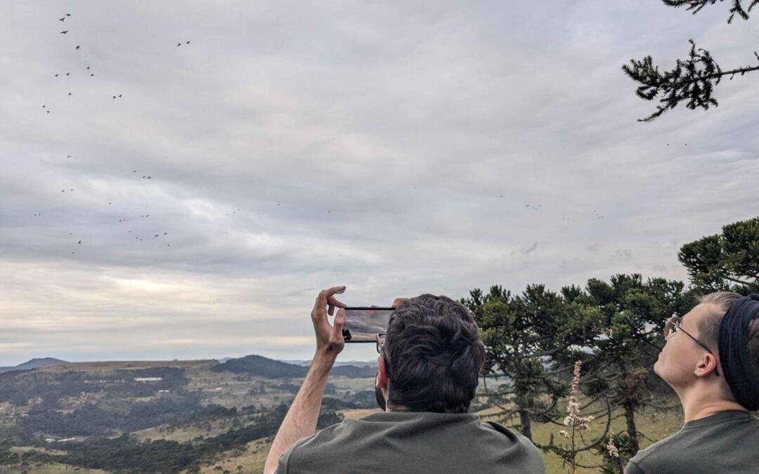13º Festival dos Papagaios movimenta turismo em Urupema, na Serra Catarinense