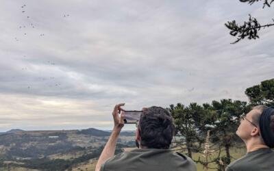 13º Festival dos Papagaios movimenta turismo em Urupema, na Serra Catarinense
