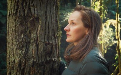 Documentário sobre a Apremavi é premiado em festival internacional
