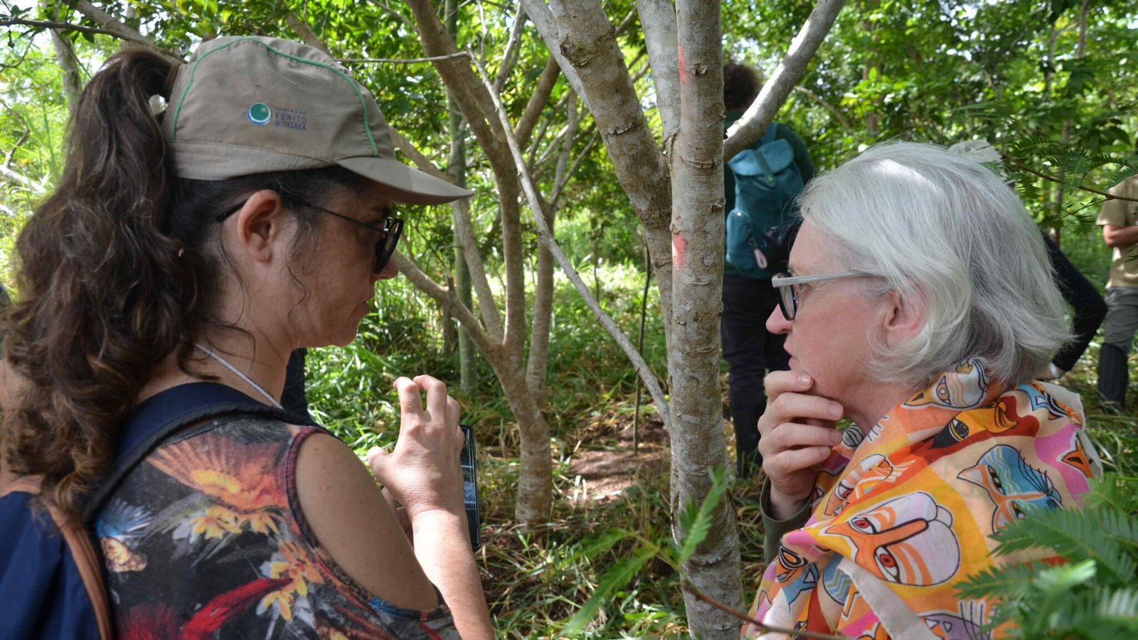 Visita a campo no Sul da Bahia em áreas estratégicas para restauração Foto The Forests Dialogue Visita a campo no Sul da Bahia em áreas estratégicas para restauração