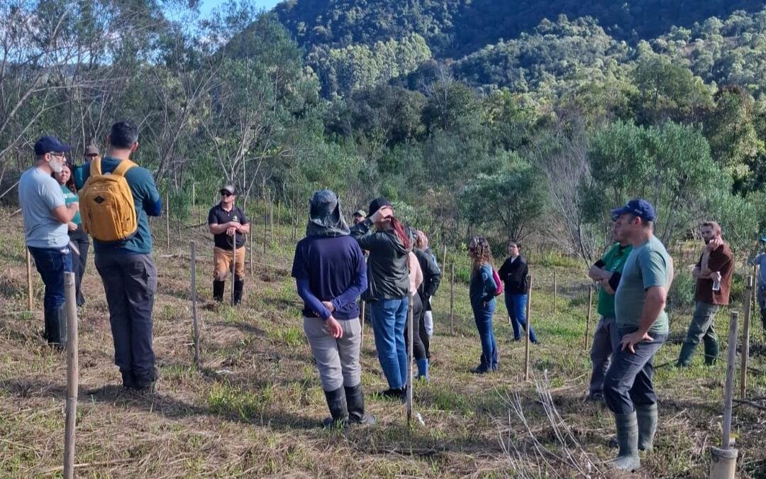 Encontro reúne projetos apoiados pelo Ibama para fortalecer a restauração da Mata Atlântica