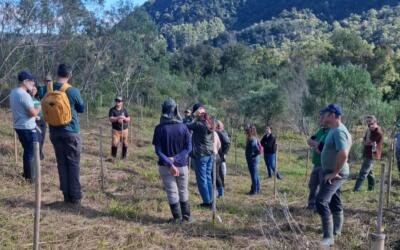 Encontro reúne projetos apoiados pelo Ibama para fortalecer a restauração da Mata Atlântica