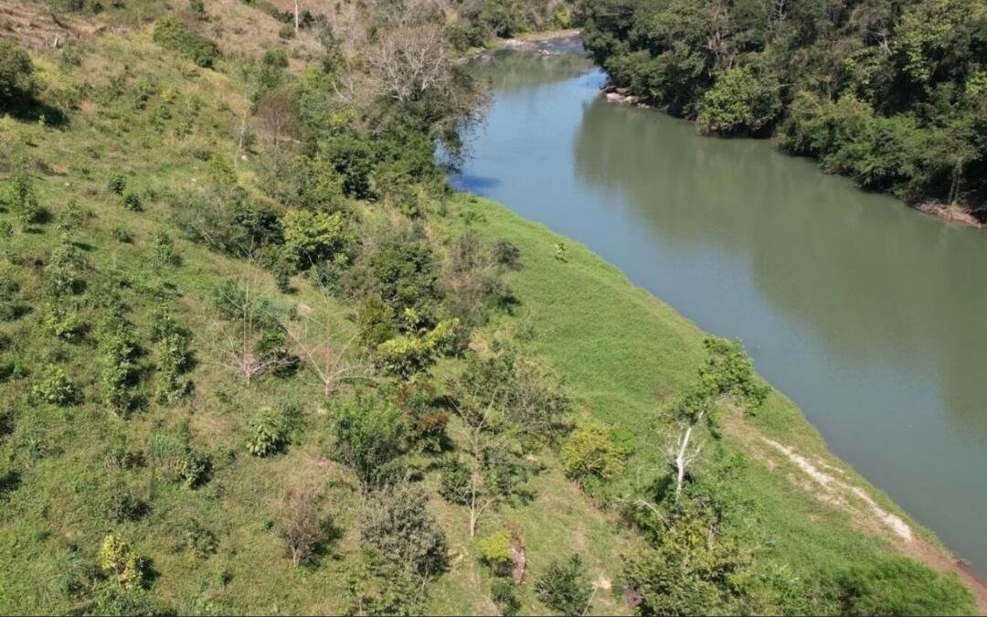 Restauração da Mata Ciliar como aliada no combate à desertificação e à seca