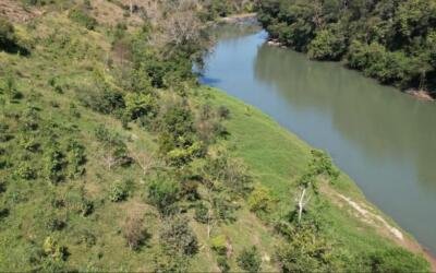 Restauração da Mata Ciliar como aliada no combate à desertificação e à seca