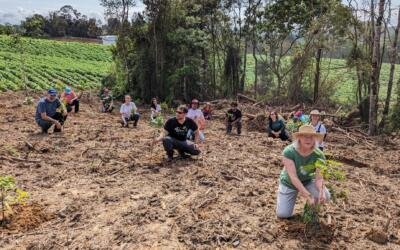 Clima e cuidado: não haverá saída sem justiça, coragem e compromisso com a vida