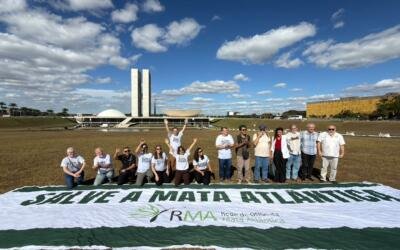 Na semana da Mata Atlântica, Rede de ONGs do bioma cumpre agenda em Brasília