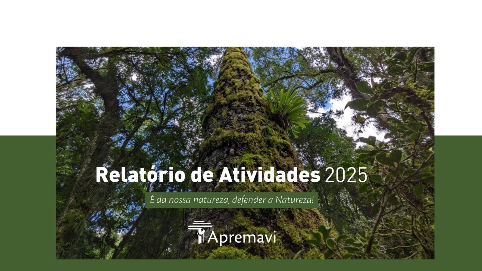 Relatório de Atividades 2025