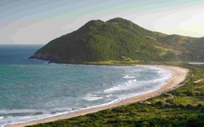 Projeto de Lei ameaça APA da Baleia Franca