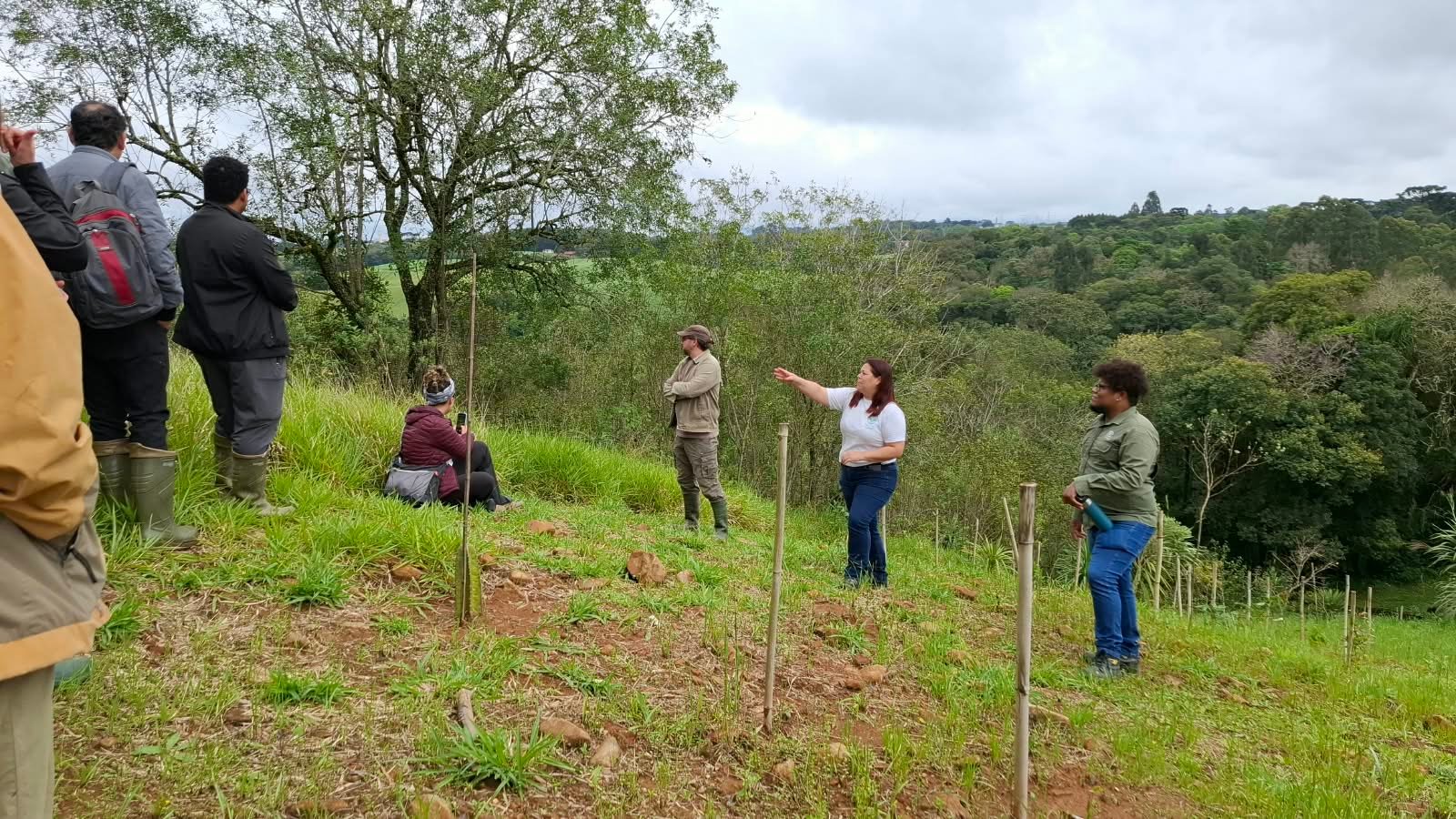 Atividades teóricas e práticas da capacitação em Regeneração Natural Assistida realizada em setembro 2026 na Sociedade Chauá em Campo Largo