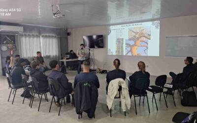 Treinamento de escalada em árvores fortalece a coleta de sementes nativas da Mata Atlântica